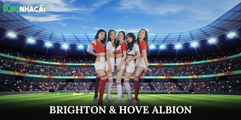 Brighton & Hove Albion