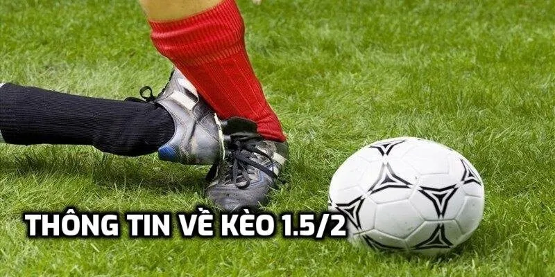 Một số thông tin về kèo 1.5/2