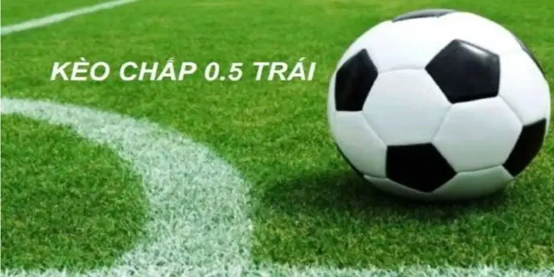Mức chấp 1/2 trái dễ chơi