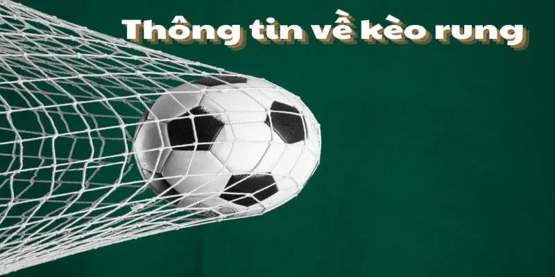 Thông tin cần nắm về cược rung