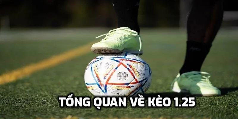 Tổng quan sơ lược về cược 1.25