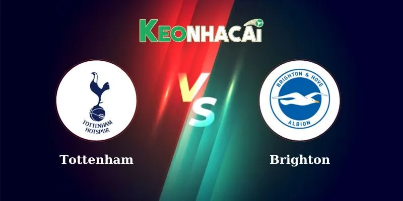 Nhận định bóng đá Tottenham vs Brighton 22h00 ngày 25/5/2025