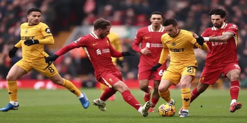 Wolverhampton Wanderers sở hữu đội hình trẻ trung và lối chơi gắn kết